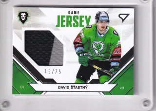 Šťastný David SportZoo ELH 2021-22 Game Jersey /75 č.JS-DS