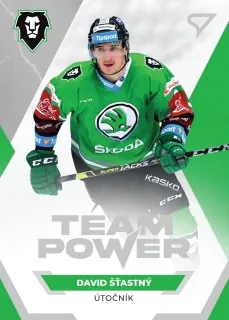 Šťastný David SportZoo ELH 2021-22 Team Power č.TP-12