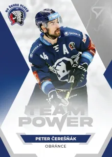 Čerešňák Peter SportZoo ELH 2021-22 Team Power č.TP-25