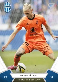Píchal David SportZoo Fortuna Liga 2021-22  II.série Řadovka č.287
