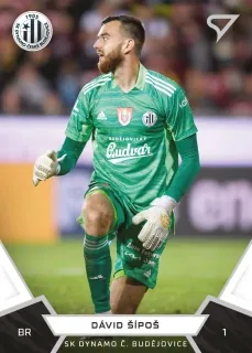 Šípoš Dávid SportZoo Fortuna Liga 2021-22  II.série Řadovka č.316