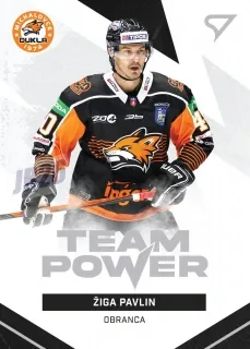 Pavlin Žiga SportZoo Tipos Extraliga 2021-22 Team Power č.TP-07