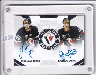 Daniel Gachulinec/ Rastislav Gašpar SportZoo Tipos Extraliga 2021-22 Team Power Auto /25 č.TS-SBA