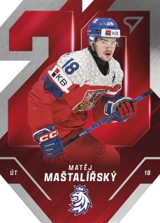 Matěj Maštalířský  SportZoo ČR Rep. 2025 Team 20 č.TE-17