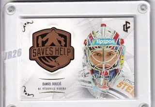 Dolejš Daniel LC Saves Help 2021  č.SH-004