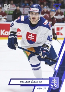 Čacho Viliam SportZoo SR Reprezentace  Blue č.24