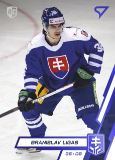 Ligas Branislav SportZoo SR Reprezentace 2023 Blue č.15