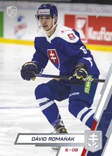 Romaňák Dávid SportZoo SR Reprezentace  Řadovka č.19
