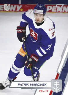 Marcinek Patrik SportZoo SR Reprezentace 2023 Řadovka č.37