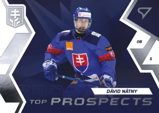 Nátny Dávid SportZoo SR Reprezentace 2023 Top Prospects č.TP-3
