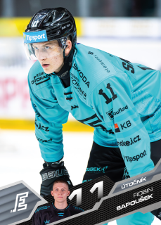 Robin Sapoušek SportZoo 2025-26 I.serie Řadovka č.088