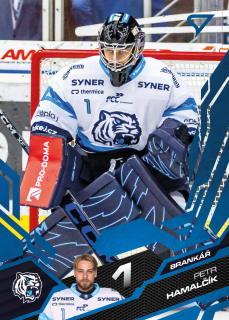 David Musil  SportZoo 2025-26 I.serie Azure Blue č.132