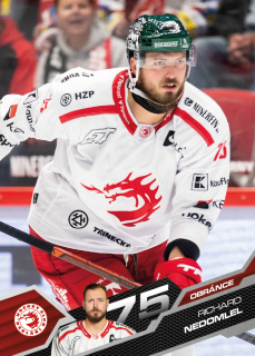 Richard Nedomlel  SportZoo 2025-26 I.serie Řadovka č.133