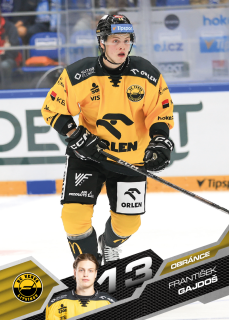 František Gajdoš  SportZoo 2025-26 I.serie Řadovka č.149