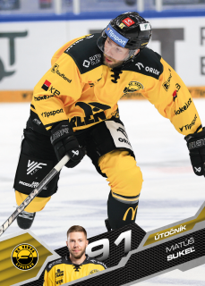 Matúš Sukeľ  SportZoo 2025-26 I.serie Řadovka č.162