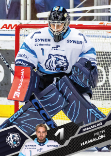 Petr Hamalčík SportZoo 2025-26 I.serie Řadovka č.181