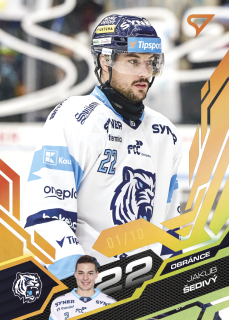 Jakub Šedivý  SportZoo  2025-26 II.serie Base /10 č.333