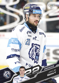 Jakub Šedivý  SportZoo  2025-26 II.serie Base č.333