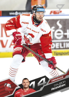 Dalibor Řezníček  SportZoo  2025-26 II.serie Base č.355