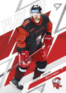 David Škůrek  SportZoo Tipsport ELH 2025/26 III. PO  Play Off základní set č.PO-69