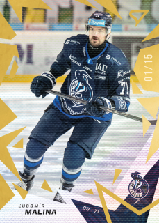 ĽUBOMÍR MALINA  SportZoo Tipos 2025-26 I.série Golden Glow /15 č.114