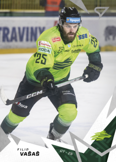 FILIP VAŠAŠ  SportZoo Tipos 2025-26 II.série Base č.243