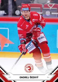 Šedivý Ondrej SportZoo TELH 2021-22 II.série  Řadovka č.279