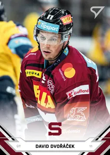 Dvořáček David SportZoo TELH 2021-22 II.série  Řadovka č.288