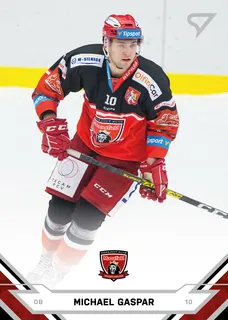 Gaspar Michael SportZoo TELH 2021-22 II.série  Řadovka č.302