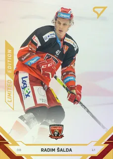 Šalda Radim SportZoo TELH 2021-22 II.série  Gold /19 č.305