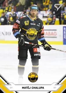 Chalupa Matěj SportZoo TELH 2021-22 II.série Řadovka č.350